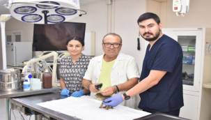 Başkan Yiğit: "Öldürme yasasına karşıyız" 