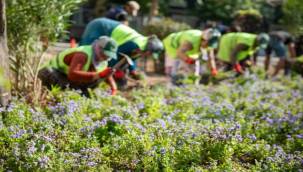 Buca'nın caddeleri çiçek açtı
