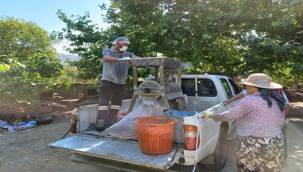 Efes Selçuk'ta Salça Zamanı 