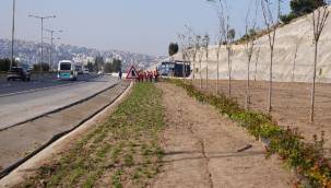 Kuraklığa karşı İzmir'in yeşil örtüsünde dönüşüm