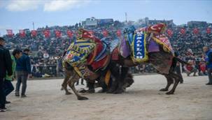 Bu Geleneğe Saygı Duyuyorum