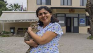 Barınaklarda Kalbinizi Çalacak Canlar Var