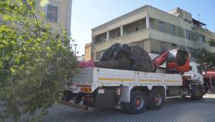 Kırılan Asırlık Çınar Ağacının Yerine Yenisini Dikti