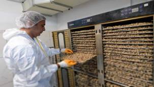 Uzmanlar tarafından özel içerik