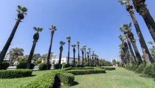 Kültürpark'ın palmiyeleri güvende