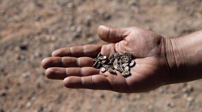 Minik Eller Toprakla Buluştu