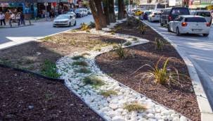 Beyazıt Aykut Parkı Yenilendi