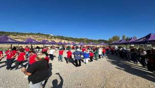 Engelli yurttaşlar ve yakınları zeytin hasadında buluştu