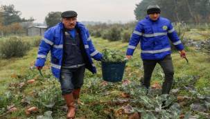 Buca'nın Kardeşlik Sofrası büyüyor