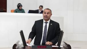 CHP İzmir Milletvekili Arslan'dan Bakan Tekin'e Açıklama