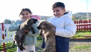 Çocuklara hayvan sevgisi kazandırılıyor