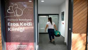 Eros Kedi Kliniği Bornova'da umut merkezi oldu