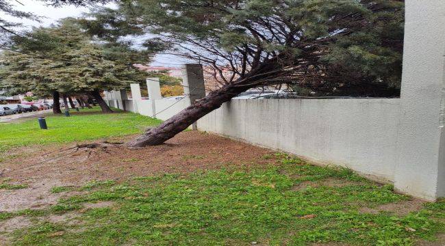İzmir Büyükşehir Belediyesi ekiplerinin sağanak ve fırtına mesaisi