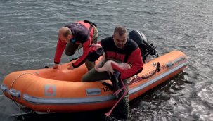 İzmir İtfaiyesi ayağına misina dolanan flamingoyu kurtardı