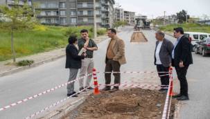 Bornova'da varyanta neşter