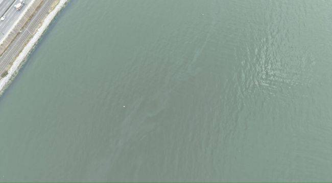 İzmir Körfezi'nde kirlilik alarmı: Aynı tehdit 11. kez görüldü