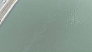 İzmir Körfezi'nde kirlilik alarmı: Aynı tehdit 11. kez görüldü