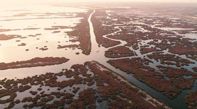 Temiz Körfez için Gediz vurgusu