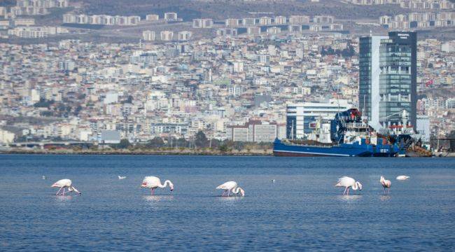"İzmir Yenileniyor" markası tescillendi