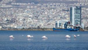 "İzmir Yenileniyor" markası tescillendi
