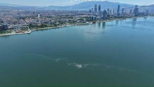İzmir Körfezi'nde 14'üncü kez kirlilik tespit edildi