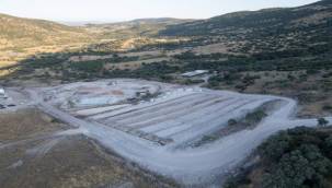 Dikili'ye modern hayvan bakımevi