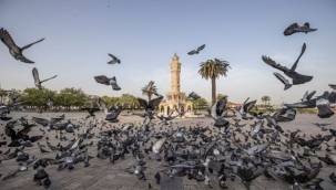 İzmir'in iklim deneyimi Avrupa'ya taşınacak