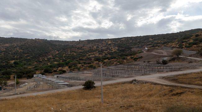 Dikili'ye tam teşekküllü sokak hayvanları kampüsü